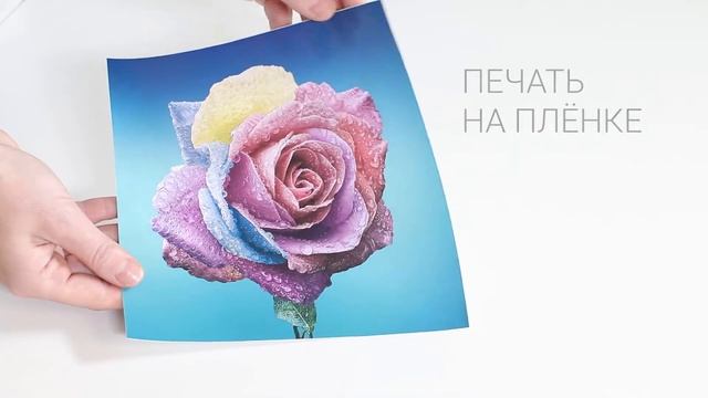 Постеры по индивидуальным размерам смотреть онлайн
