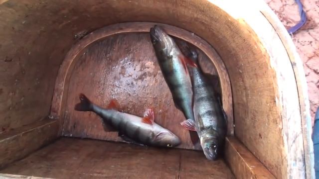 Рыбалка на джиг в Онежском озере смотреть онлайн