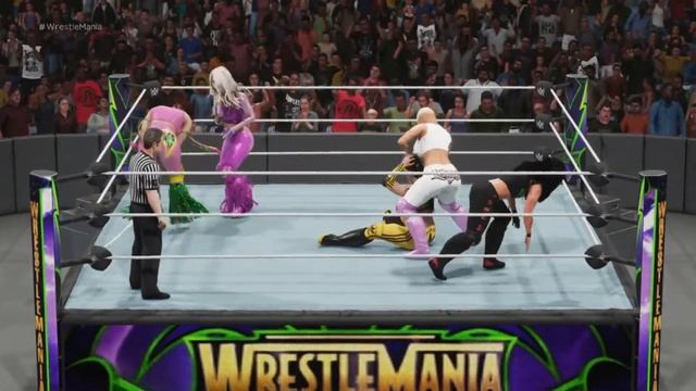 WCW IC Championship 5 woman Match смотреть онлайн
