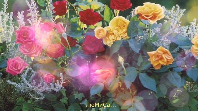 рассказ две розы часть 1.mp4