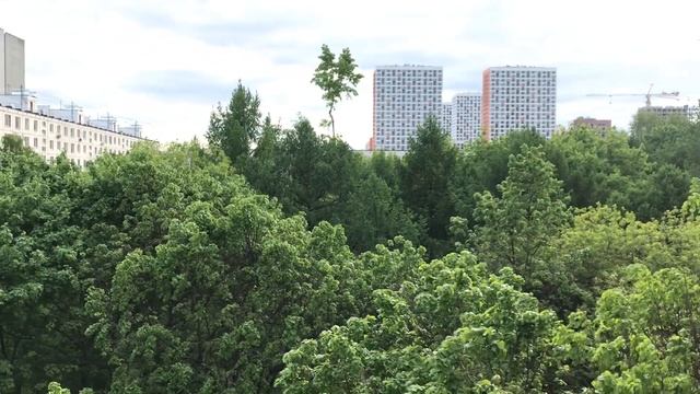 Огород на балконе в Москве