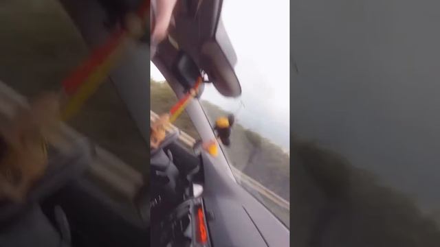 Tornadų gaudytojai / Storm chasers new season смотреть онлайн