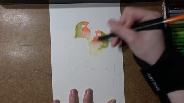 Serenity Scribbles: 120 Premium Soft Touch Colored Pencils by Castle Art Supplies [REVIEW] смотреть онлайн