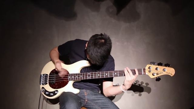 FLEA SLAPPING (Bass Cover) смотреть онлайн
