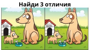 Найди отличие