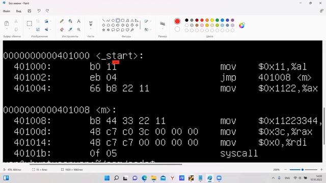 GNU Assembler x64. Сегмент кода смотреть онлайн