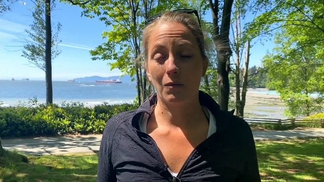 Do Marine Mammals Dream?