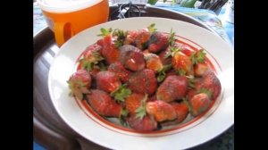 Результат работы биогумуса (продукт жизнедеятельности дождевого червя) – раннее созревание клубники