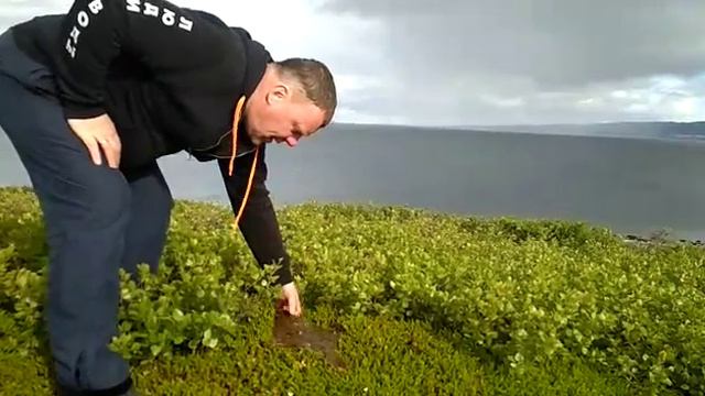 Камбала выходит на берег смотреть онлайн