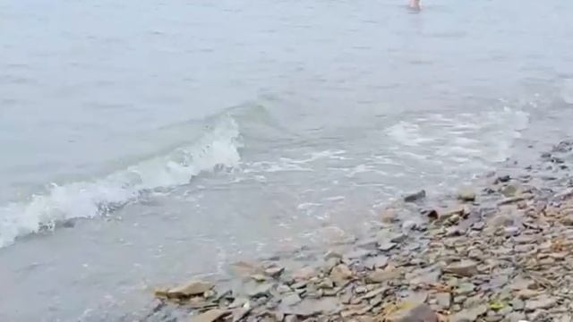 (#425) 06.08.22 Японское море .Уссурийский залив бухта Вальтон! Городской пляж в г. Большой Камень смотреть онлайн