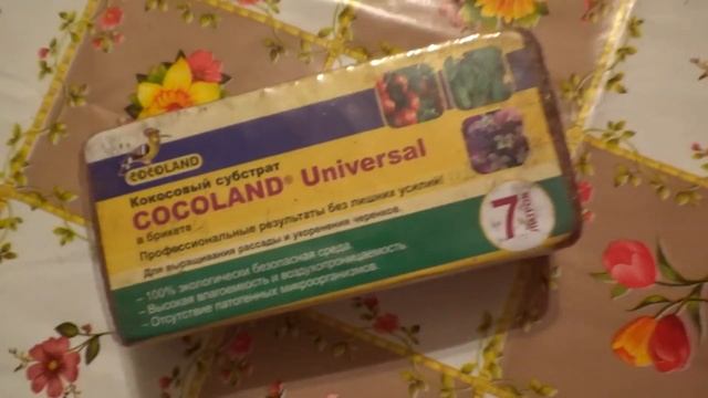 Как приготовить грунт из кокосового брикета? смотреть онлайн
