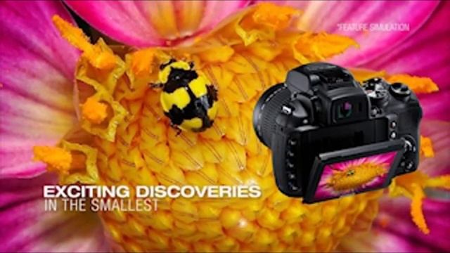 Fujifilm FinePix HS30EXR смотреть онлайн