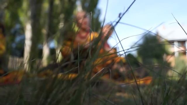 Народный ансамбль русской песни "Тарантасик" - Куст рябиновый смотреть онлайн