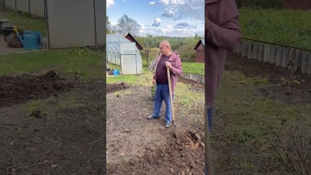 Вот так вот каждый день делай, спина вообще болеть не будет. С братишкой копаем грядки родителям. смотреть онлайн