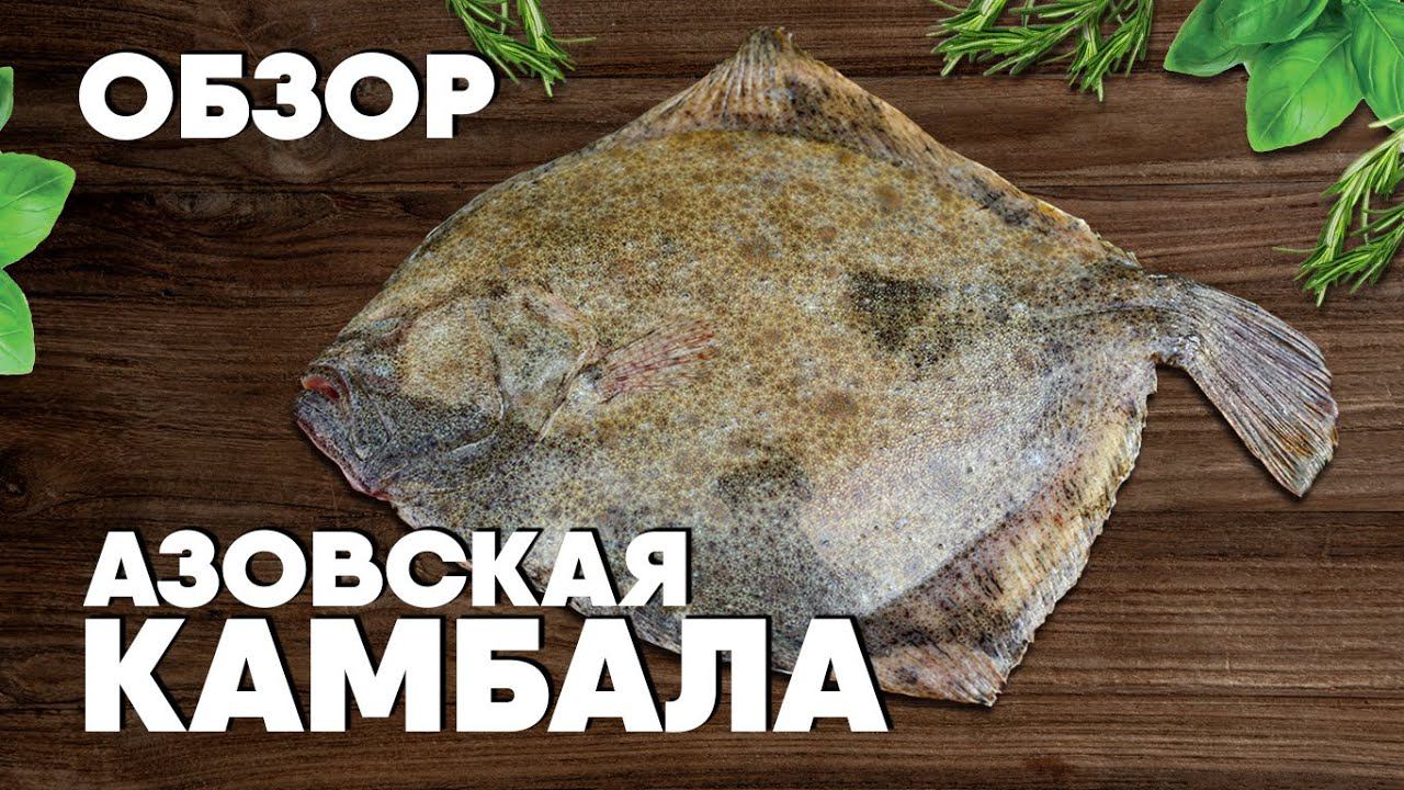 КАМБАЛА или Калкан? Как выбрать и разделать рыбу. Обзор азовской камбалы от шеф-повара смотреть онлайн
