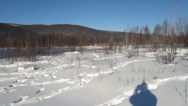 Оленеводы Тугуро Чумиканского р-н. с. Алгазея