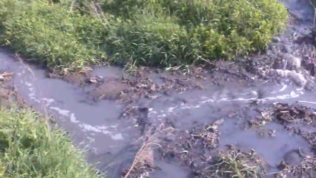 В Кутовой балке забил источник.3gp