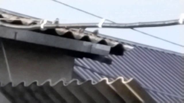 Вам с нами скучно точно не будет.🥰 ( звук ☝️) 14 .09. 2023 г. смотреть онлайн