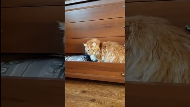 Знакомая ситуация?!.. смотреть онлайн