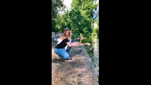 Госавтоинспекция и сотовый оператор Мотив просят пешеходов отвлечься от гаджетов при переходе дорог