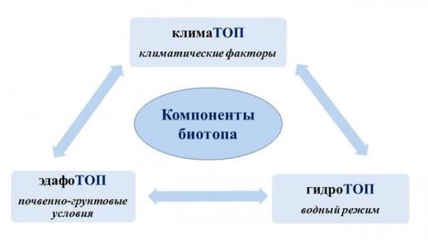 Тема 35. Биоценоз и биотоп. Связи организмов в биоценозах