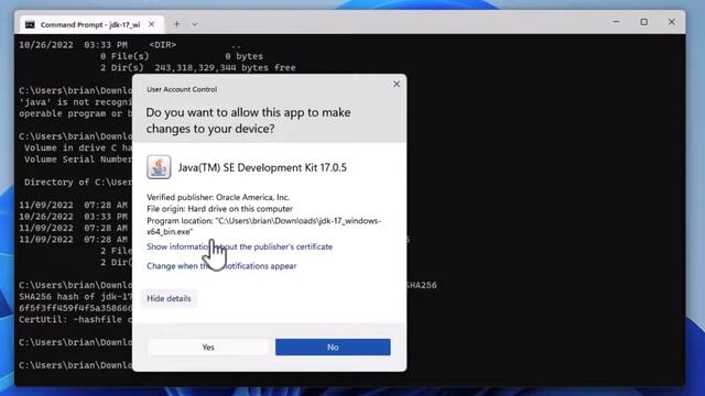 How to download Java and Install on Windows 11 смотреть онлайн