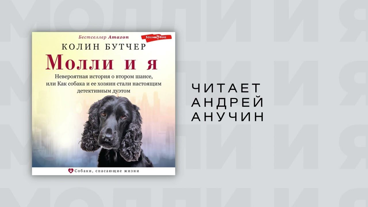 #Аудиокнига | Колин Бутче "Молли и я. Невероятная история о втором шансе" смотреть онлайн