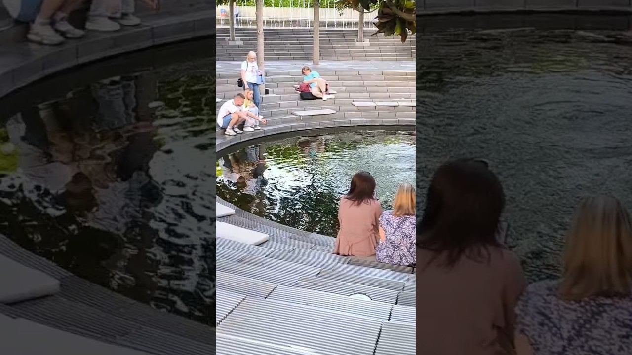Пруд Кратер с рыбками кои в парке Галицкого Краснодар ⁉️Ссылка на полное видео над этим названием