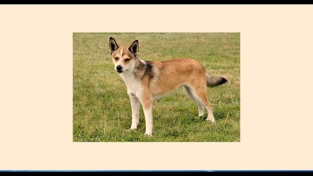 Яды и противоядия