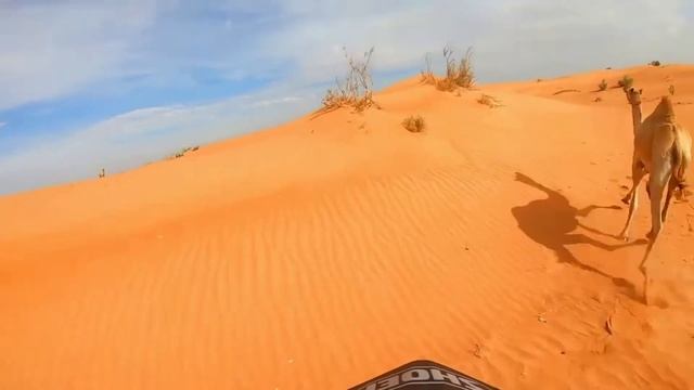 Байкер Владимир Ярец. Как ГЛУХОЙ человек ПОЛУЧИЛ ПРАВА? смотреть онлайн