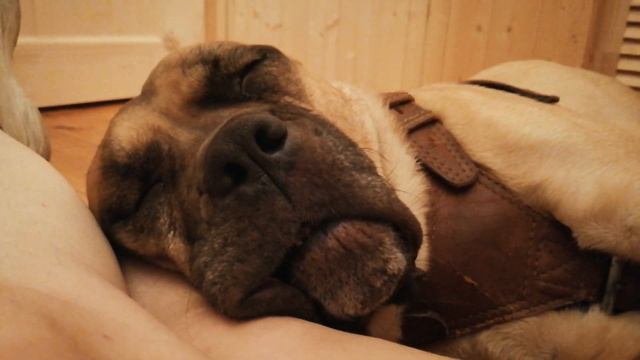 Звуки для засыпания. Видео для успокоения. Как уложить ребенка спать. Need for Sleep. смотреть онлайн