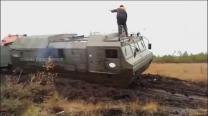 Вездеход Витязь ДТ 30, ДТ 10 на Бездорожье, НИКТО ОТ ЭТОГО ВЕЗДЕХОДА Витязь ТАКОГО НЕ ОЖИДАЛ.