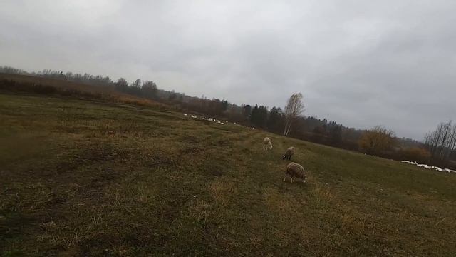 В деревне работа есть всегда. [Жизнь в деревне] смотреть онлайн