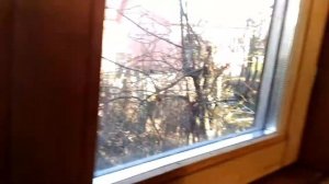 Печь Матрица 100 в работе