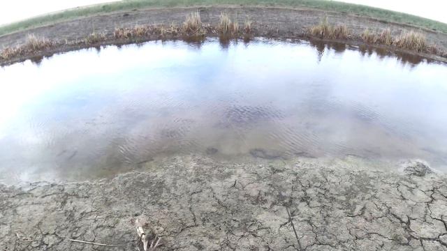 щучка в дождик смотреть онлайн