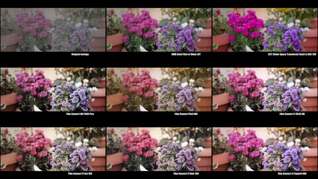 1-node 1-click color grades of BMPCC 6k footage (FilmConvert and other options). смотреть онлайн