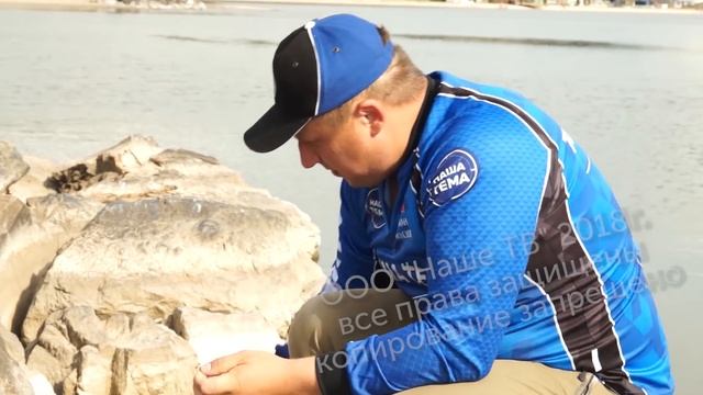 Рыбалка на поплавочную удочку. Ловля крупной плотвы на удочку. смотреть онлайн