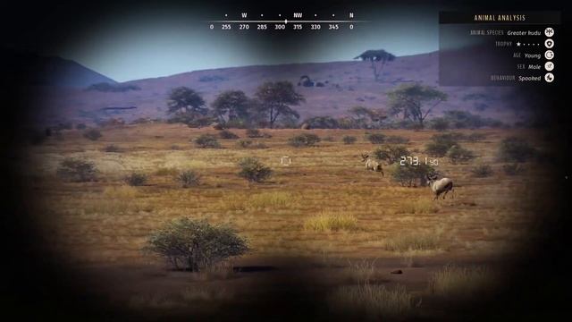 A Release Day to Remember! | CHARGED by an ALBINO Buffalo + 5 Star Guinea Fowl! смотреть онлайн
