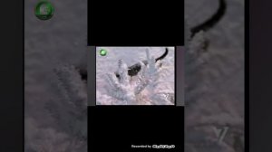 Кто хочет стать миллионером? с Дмитрием Дибровым. Выпуск №14. (28.12.2023)