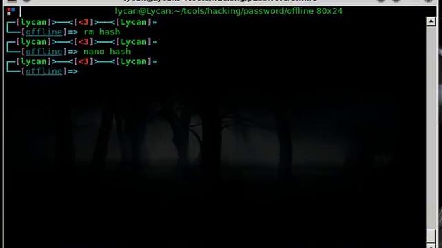How to Crack MD5 Hashes in Linux with John смотреть онлайн