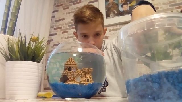 Моя рыбка петушок,её аквариум,и все для её комфортного проживания! смотреть онлайн