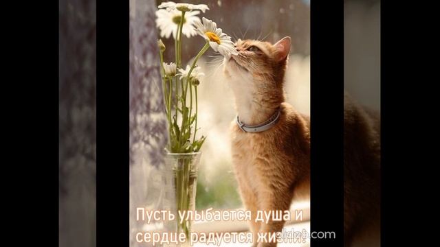 ДНЁМ 23.08 4 смотреть онлайн