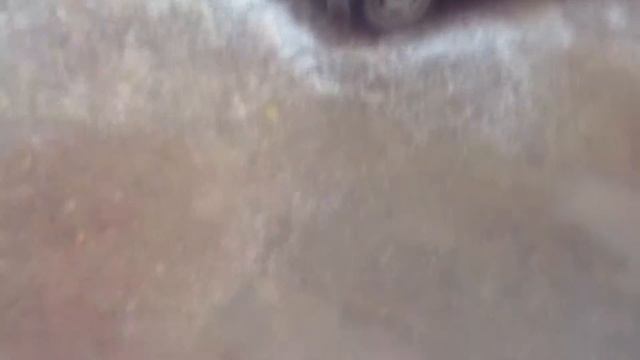 ГДЕ Я?/Мини Влог Донское смотреть онлайн