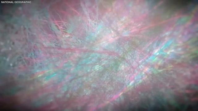 "HE'S LYING!" Scientists FINALLY Exposed Michio Kaku's Theories! смотреть онлайн