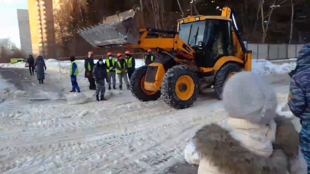 Масштабная вырубка леса в Троицке (Подмосковье, новая Москва)! смотреть онлайн