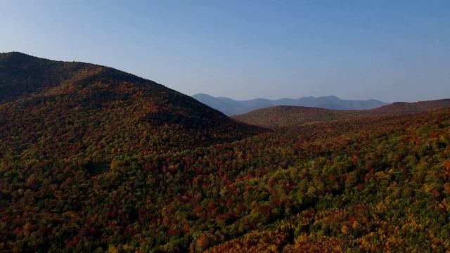 Diviners - Savannah (Acoustic) (feat. Philly K) [NCS Release]