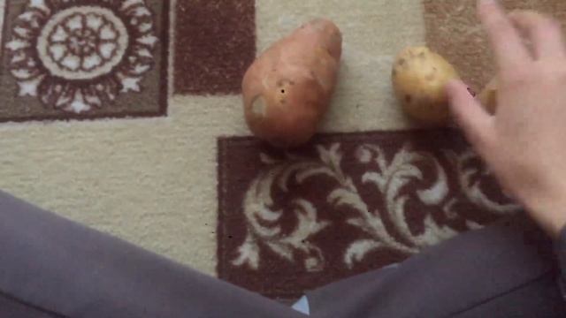 Секреты Мастеров Ремонта