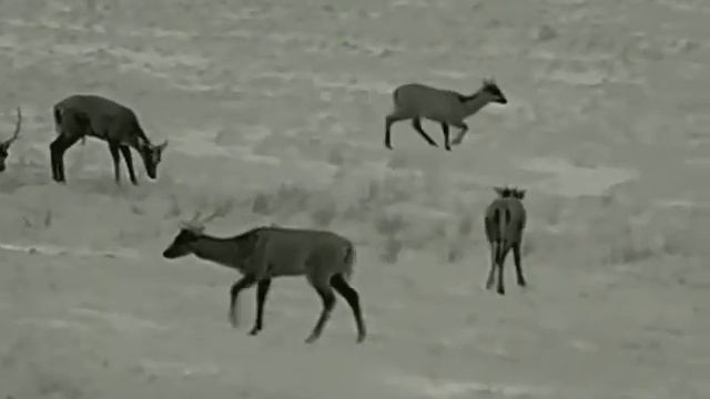 Infiray Xeye E3 Max V2