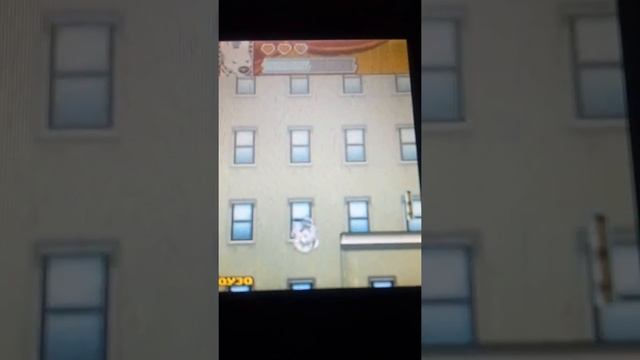 Игры Game Java Вольт Белый Собака! смотреть онлайн