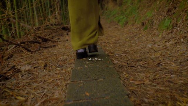 How to Live in the True Reality | Alan Watts смотреть онлайн